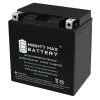 12-Volt 14 Ah 230 CCA Rechargeable Sealed Lead Acid (SLA) Powersport Battery by MIGHTY MAX BATTERY