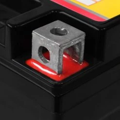 12-Volt 6 Ah 135 CCA Rechargeable Sealed Lead Acid (SLA) Powersport Battery by MIGHTY MAX BATTERY 8 12-Volt 6 Ah 135 CCA Rechargeable Sealed Lead Acid (SLA) Powersport Battery by MIGHTY MAX BATTERY -Cooper Bussmann sale mighty max battery 12v batteries ytx7l bs892 4f 1000